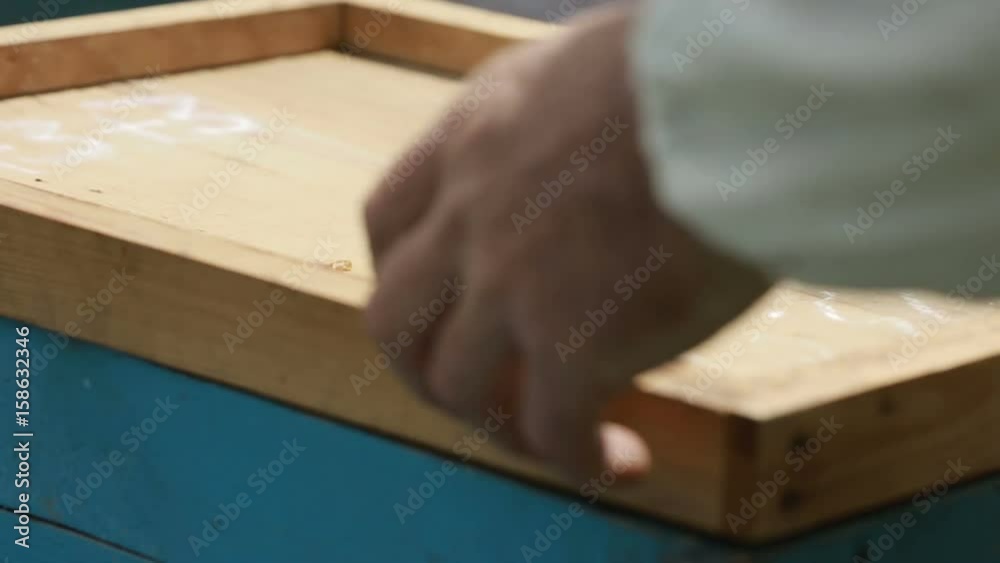 Apiarist Is Working In His Apiary Apiarist Is Working In His Apiary