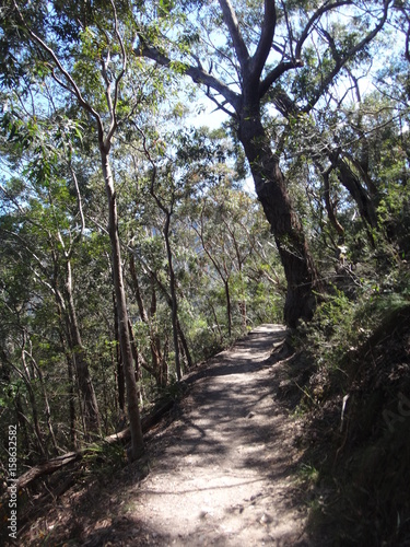 Blue mountains