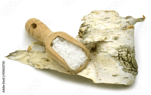 Betula Bříza Birch نبات Abedul Կեչի Берёза Sale Nyír Betulla Birk Salt भूर्ज Affumicato Salz Brzoza Sal Birken Smoked قضبان  桦木属
 növénynemzetség Björkar Chi Cáng lò  photo