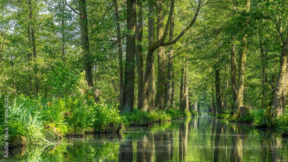 Beautiful river landscape