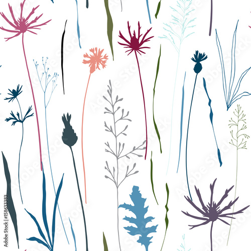 Vector floral seamless pattern with wild meadow flowers, herbs and grasses.