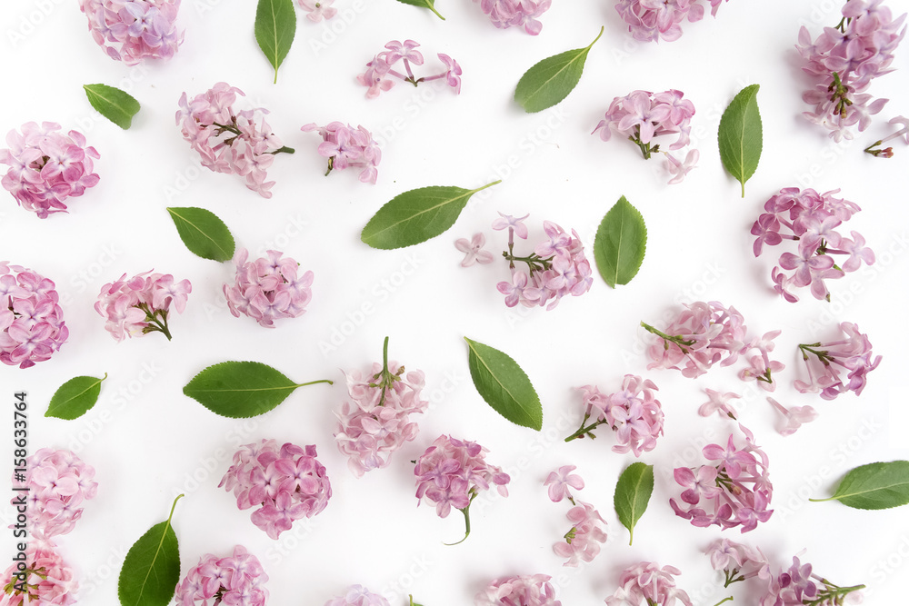 Floral pattern of lilac flowers and leaves on white. Flat lay, top view. Floral pattern of lilac flowers and leaves on white. Flat lay, top view.