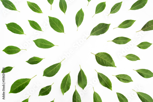 Green leaves as a frame on white paper background. Flat lay