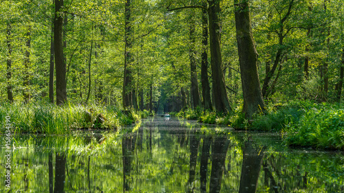 Kayaking at the Spreewald in Germany © DZiegler