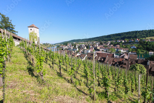 Panoramic view of Swiss town Schaffhausen. River Rhine.