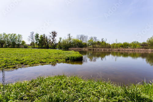green grass with a river on background