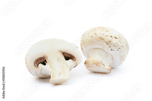  Fresh champignon mushrooms isolated on white background