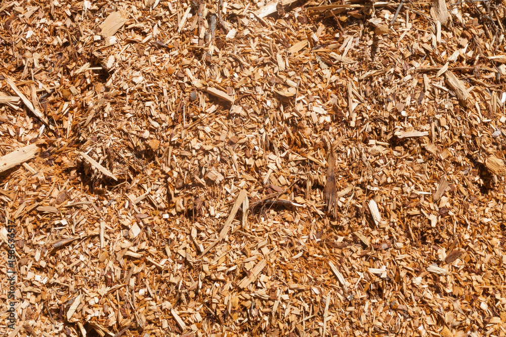 Wood chips are recycled to create a walking path Wood chips are recycled to create a walking path