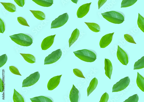 Wallpaper Mural pattern Torontodigital.ca