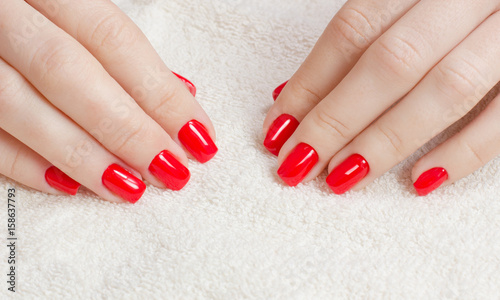 Manicure - Beauty treatment photo of nice manicured woman fingernails with red nail polish. photo