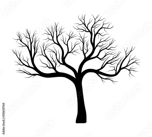 bare tree silhouette vector symbol icon design.