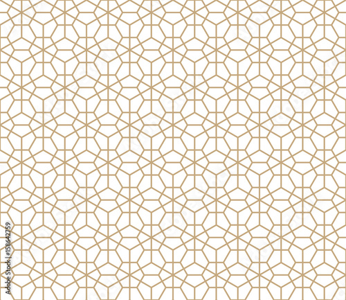 hexagon geometric line grid pattern vector background