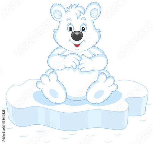 Polar bear on an ice floe