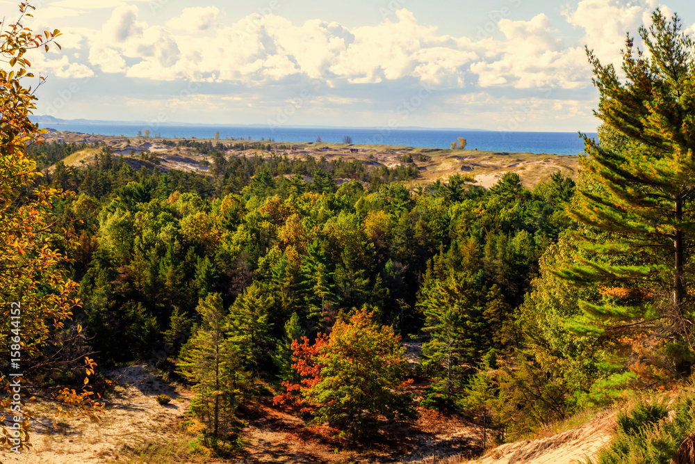 Lake Michigan Coastal Dune Panorama. Forested freshwater coastal dune