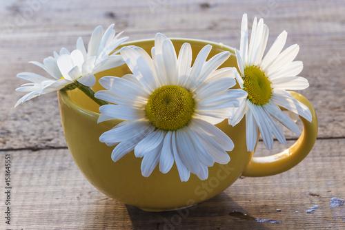 bouquet of daisies in yellow tea cup on wooden table