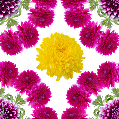 pattern of pink dahlia