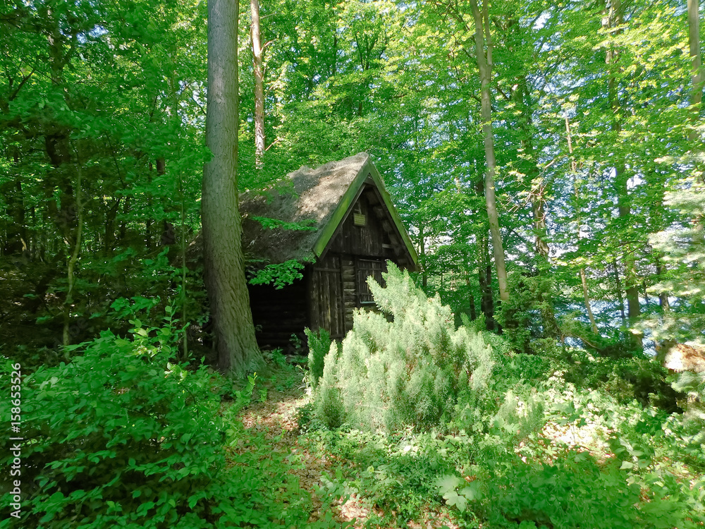 Das Haus im Wald Das Haus im Wald