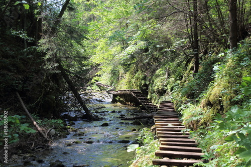Ravine in National park Slovak Paradise, Slovakia
