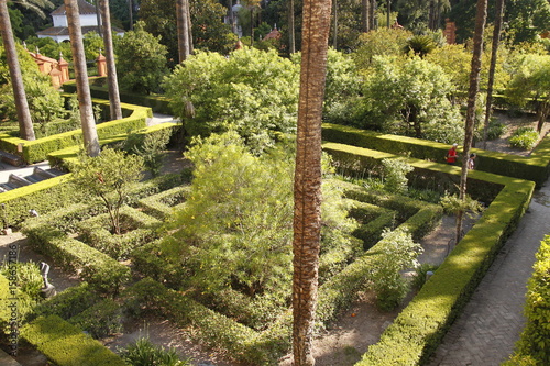 Jardin Alcazar    S  ville  Espagne