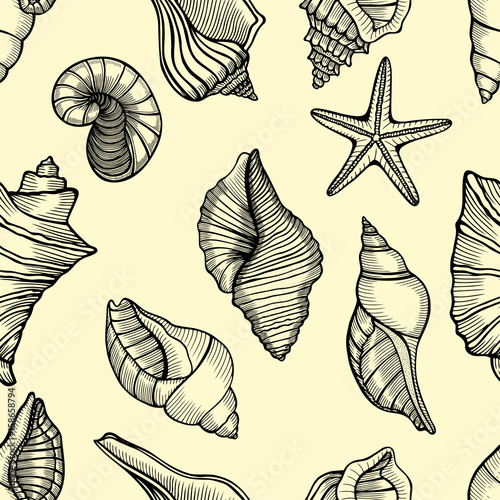 sea shells seamless background