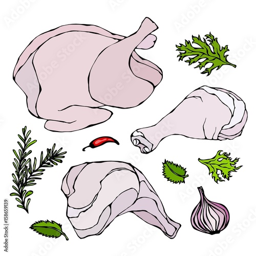 Chicken or Turkey Body Parts Set. Fowl Meat Fillets, Ham, Shank with Skin and Herbs. Isolated On a White Background. Realistic Doodle Cartoon Style Hand Drawn Sketch Vector Illustration.