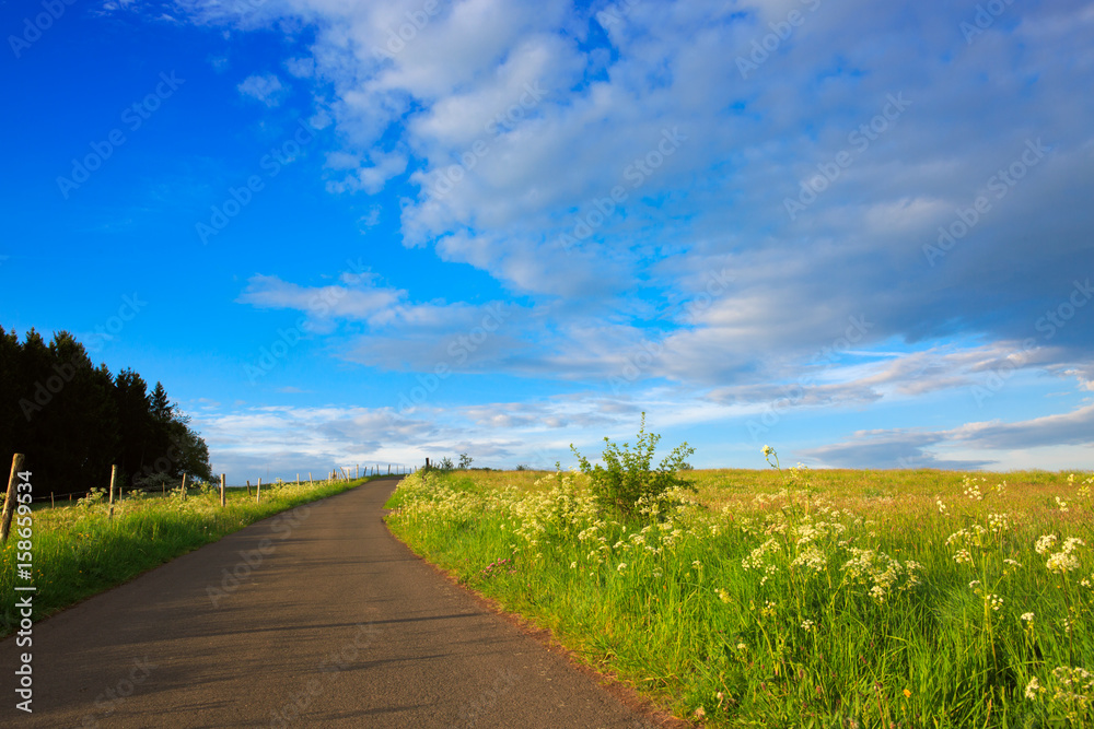 Road in field with clouds and sun.