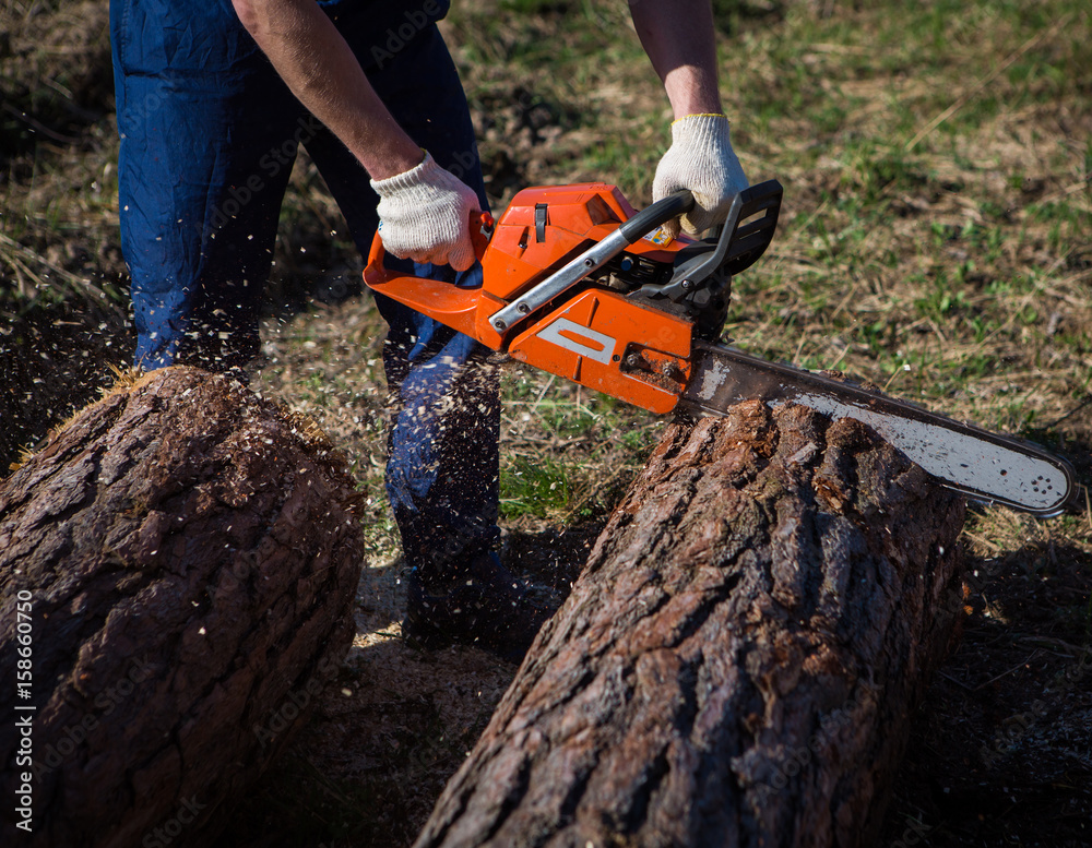 Sawmill, chainsaw Sawmill, chainsaw