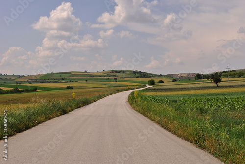 Winding road in the middle of spring fields; landscape background.
