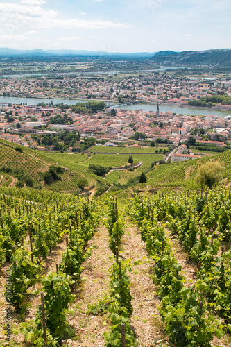 Fotografia Tain l'Hermitage depuis le vignoble
