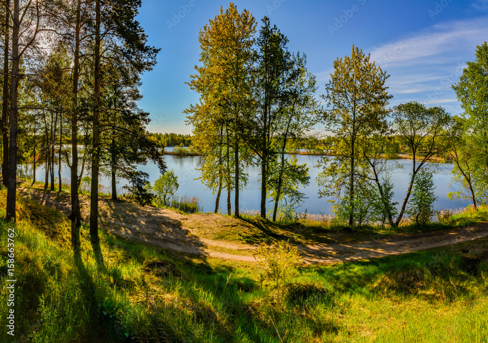 Fototapeta premium A Sunny summer morning
