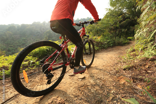 Fototapeta Naklejka Na Ścianę i Meble -  riding mountain bike on sunrise forest trial