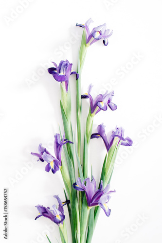 Beautiful purple iris flowers bouquet on white background. Flat lay, top view
