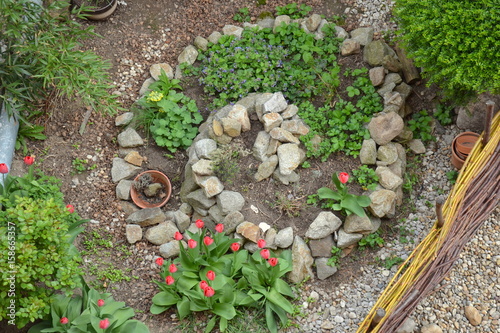 Permaculture element - herb spiral in early spring