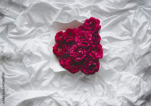 Composition of red roses on a white background photo