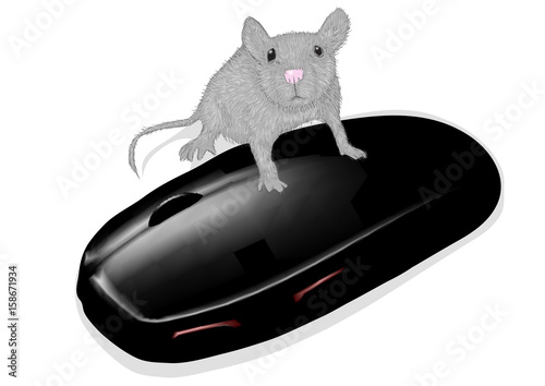 mouse and mouse