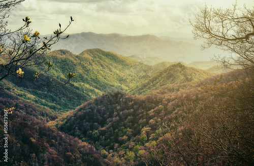 Serene Mountain Wonderland. Springtime in the Great Smoky Mountains. Glowing, Framed Copy Space.