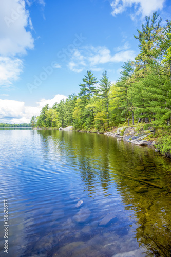 Fototapeta Naklejka Na Ścianę i Meble -  Lush green northern forest and vibrant blue sky reflected in clear freshwater lake