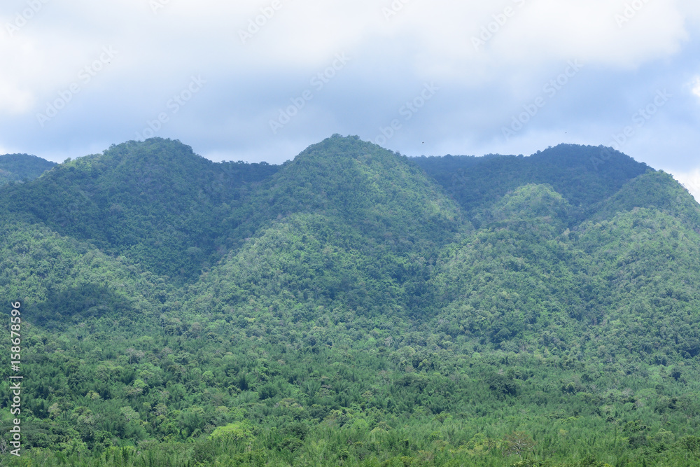 Tropical rainforest at Huai Kha Khaeng Wildlife Sanctuary, Thailand, Forest landscape at World Heritage