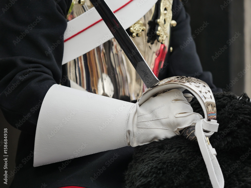 Garde Royale à cheval, détail, épée et gant blanc, Londres Stock Photo |  Adobe Stock