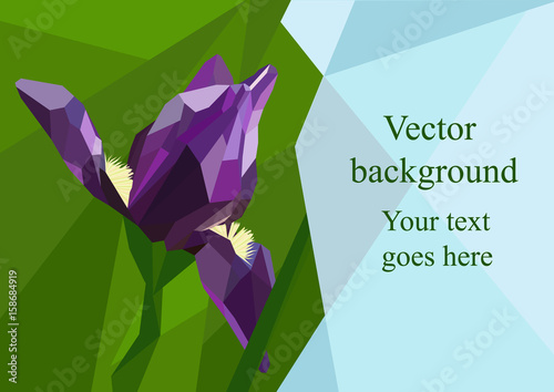 Fototapeta Naklejka Na Ścianę i Meble -  Iris flower polygonal