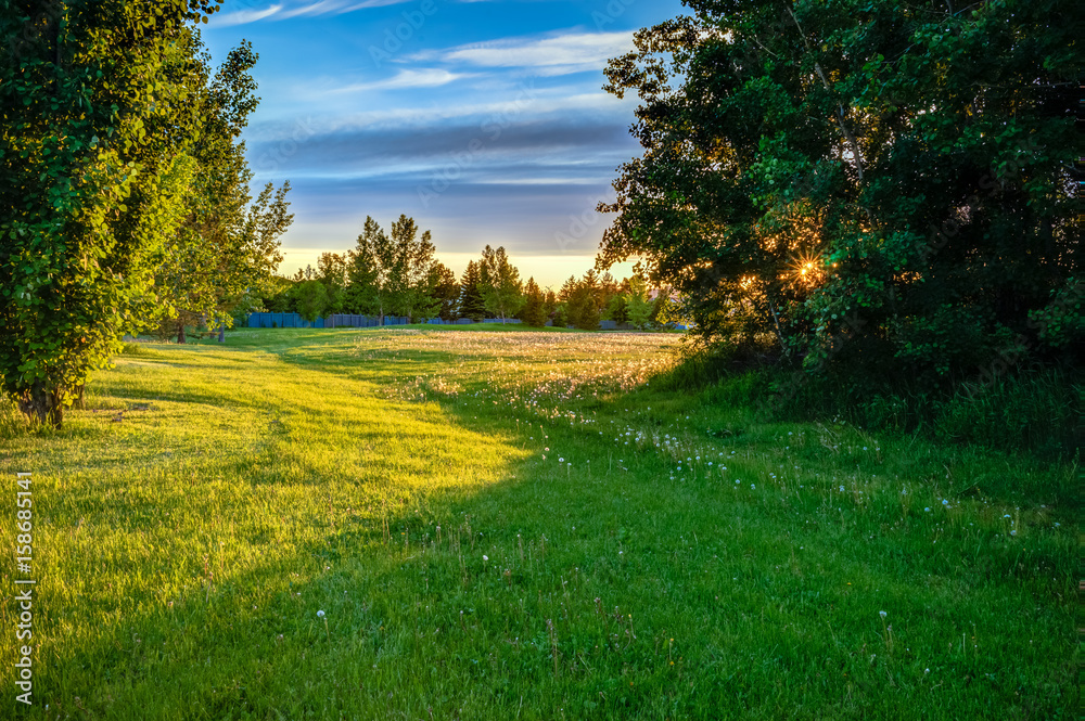 Obraz premium Oleskiw park