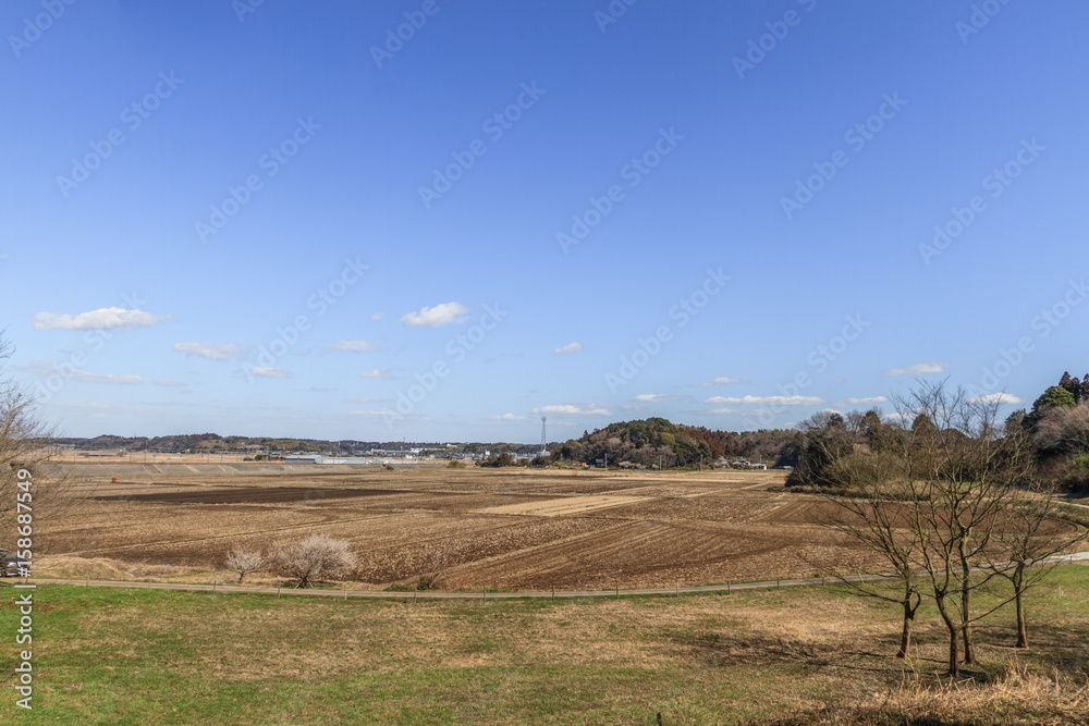 Obraz premium 冬の本佐倉城の風景