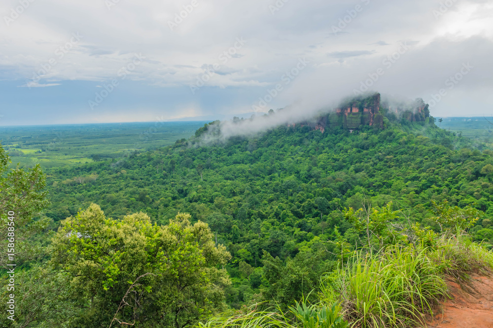 The soft focus of green forest,foggy forest hils at Phu tok ,Bung Kan provice , Thailand.