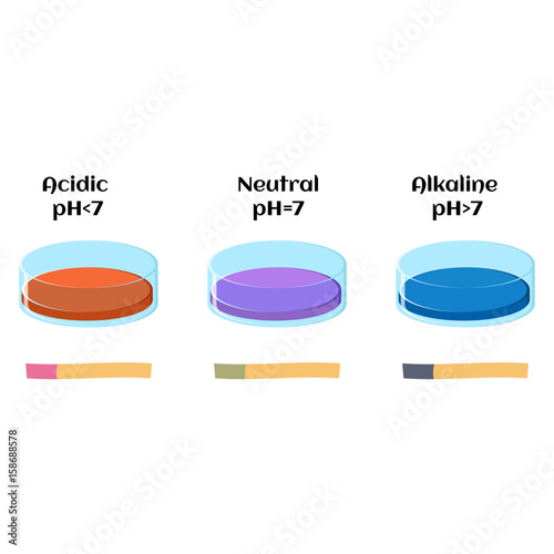 Litmus liquid and litmus paper test in solutions with acidic, alkaline and neutral pH
