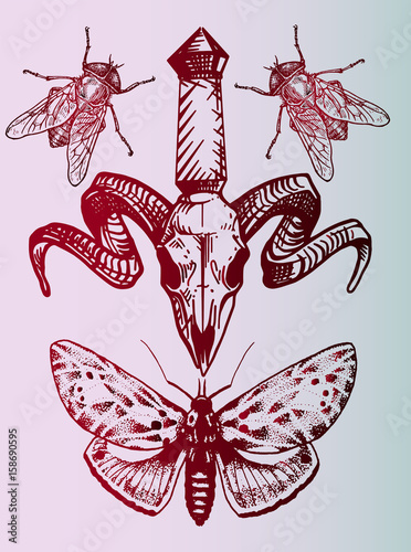 A skull with horns, a butterfly and flies - an unusual idea for a tattoo. Gothic style