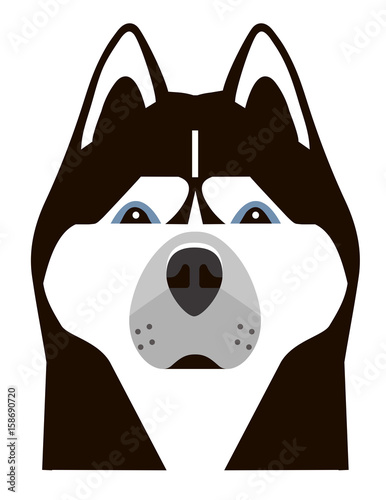 Portrait of a Husky in a minimalist style