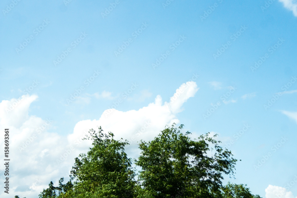 Fototapeta premium Blue sky with white clouds