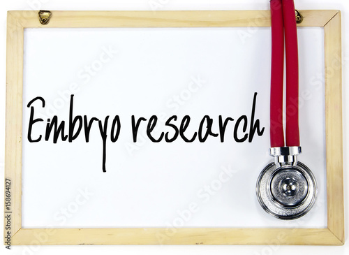 embryo research text write on blackboard