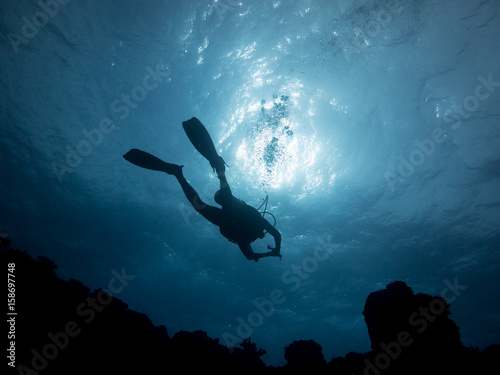 Silhouette of a scuba diver view from below - Queensland Australia