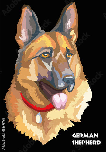 Colorful German shepherd vector hand drawing illustration